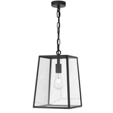 Cantena 25 Pendant Light - Black